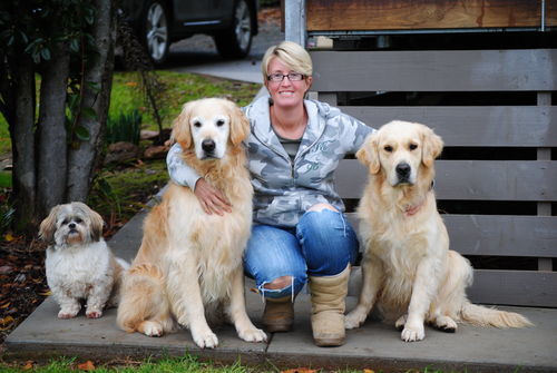 Family Dogs - ALL 4 PAWS Geelong