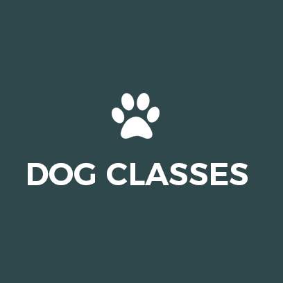 Dog Classes
