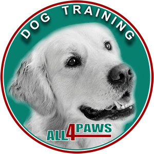 ALL 4 PAWS | Geelong's First Choice for Dog and Puppy Training